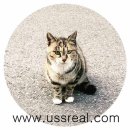 윤성공인중개사사무소 이미지