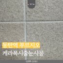 GS25동탄푸르지오 | [동탄역 푸르지오] 구축아파트의 화려한 변식, 케라폭시 줄눈시공 후기
