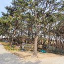 숲이좋아민박 이미지