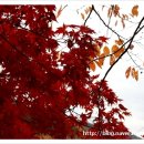 남산장모텔 이미지