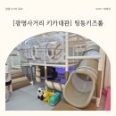 경기마트 사거리 | 광명사거리 생일파티룸 고민 끝! 우리끼리 프라이빗하게 즐기는 '띵동키즈룸' 대관 후기