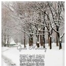 영생 Daum카페