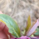 용방면사무소 앞 이미지