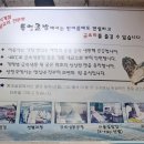 사계절 밑반찬 요리 이미지