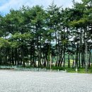 송정솔바람해변 주차장 네이버블로그
