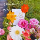 자연이 준 선물 향기 테라피 이미지