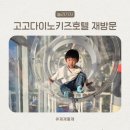 다이노워시 | 가평 고고다이노키즈호텔 재방문 파워 자이언트 방 및 바비큐 플래터 이용후기