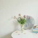 사단법인 달구벌나눔문화예술 이미지