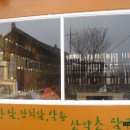 화천장뇌삼