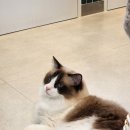 아이조아 요양보호소 서울점 이미지