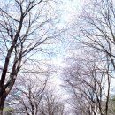 아미산숲센터 이미지