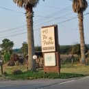 445 The Palms 네이버블로그