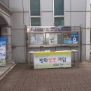 평화상조 이미지