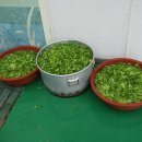 고잔고등학교 이미지