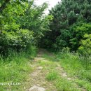 인천공항초등학교신도분교장 이미지