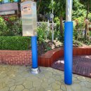 자양초교 이미지