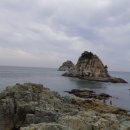 오랫 Daum카페