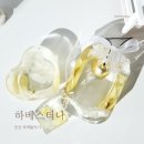하베스티나 - 안산시 단원구 광덕서로 100 | 하베스티나 안산 부케말리기 선물 후기