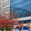 빛가람동행정복지센터 이미지