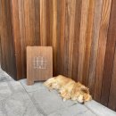 하다책숙소 이미지