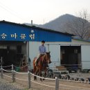 훼밀리승마클럽 이미지