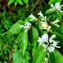 금은농장 이미지