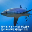 제이원하우스 | 필리핀 말라파스쿠아 다이빙 세부 환도상어 드래곤제이원 리조트 후기