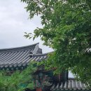 볼 때리는 집 | 제천가볼만한곳 청풍문화유산단지에서 부모님 시절 듣기 &amp; 옥순봉출렁다리에서 울고온 30대여자 후기