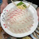 삼바리회센타