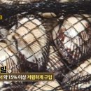 벌교꼬막정식앤삼계탕 이미지