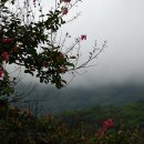 신덕식당 이미지