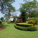 더 루앙 이미지