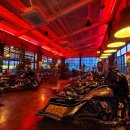 트라이브 이미지