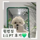 원펀짐 | 대학동 헬스장 원펀짐 PT 후기