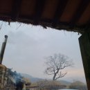 신창민박 이미지