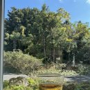 힐링다도 이미지