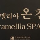 지세포 고기맛집 참숯갈비 이미지