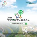 산삼휴양밸리(대봉캠핑랜드) 이미지