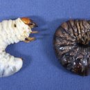 (주)전남사료 이미지