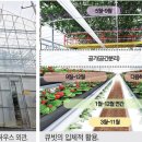 백용농장 이미지