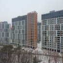 지음메디컬 이미지