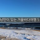 (주)피그마리온