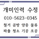 수정인력사무소 이미지