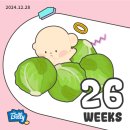산본제일약국 | [26w0] 산본제일병원_임당 재검&amp;임당 재검 통과 후기