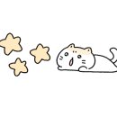 냥만미용실 이미지