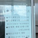 신기리 | 전남 강진군 망호선착장 캠핑장 전세캠 후기 &amp; 가우도 청자다리 출렁다리