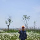 번개후기]5월18일 변산 샤스타데이지투어*4구간 경찰수련원 앞 이미지