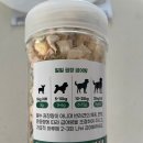 댕댕이 펫카 이미지