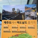 맥도날드제주중문DT점 | 제주 중문 맥도날드 DT점🍔 여행 중 간단한 식사하기 좋았던 중문DT점 후기
