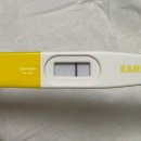 (주)삼신이앤비 본점 | [시험관 동결2차 기록] 초기 계류유산 후 재임신